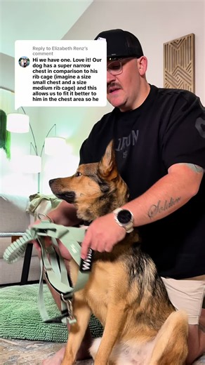 Anti Pull Dog Harness - Australian Front-Clip Harness for Pulling Dogs