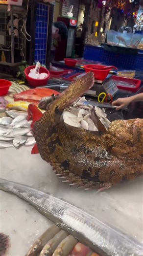 Giant Grouper – The Monster of the Deep Sea! 🐟💪