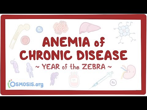 Anemia of chronic disease (Year of the Zebra)