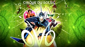 Cirque Du Soleil's ‘OVO' Drops Into San Diego