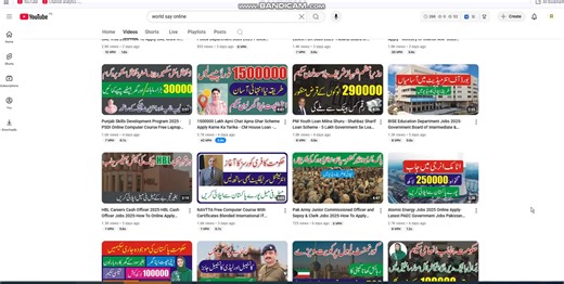 100000 Nojawan E Hunar Kamyab Freelancer Internships Program -Government Hunarmand Scholarship Cards Part 6 | Say Job City