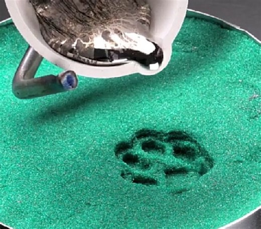 Amazing pet ideas! 😻❤️ | 5-Minute Crafts Family