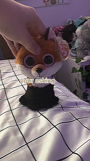 Beanie Boos - The Passion of Collectors