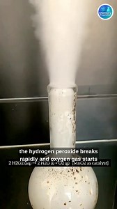 801K views · 11K reactions | Just a catalyst… and suddenly the flask starts breathing! Hydrogen peroxide breaks down fast, releasing pure oxygen gas. This is chemistry you can see. ⚗️ #fblifestyle #apchemistry #art #california #studybuddy #ibchemistry #PSA #examtips | Chemistry Preparation | Facebook