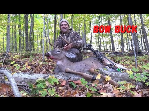 Bow hunting early season whitetails (Upper Peninsula of Michigan) Deer hunting