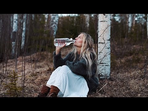 How to tap Birch Sap | Health benefits & a taste of spring