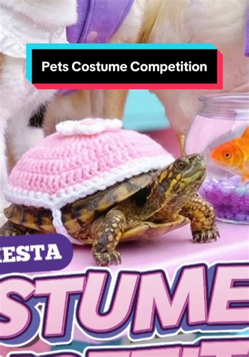 Pet Costume Competition at Cosford Container Park