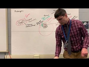 Keystone Biology Review 2