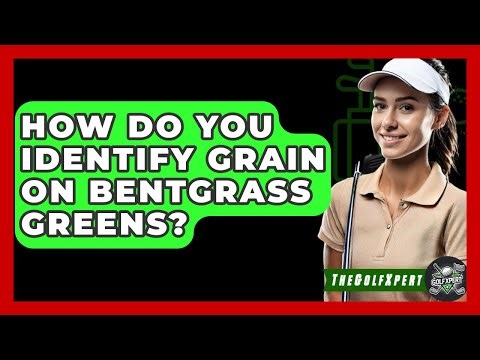 How Do You Identify Grain On Bentgrass Greens? - The Golf Xpert