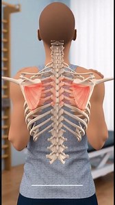 Scapular Retraction Exercise for Shoulder Impingement | Rehab & Pain Relief Guide