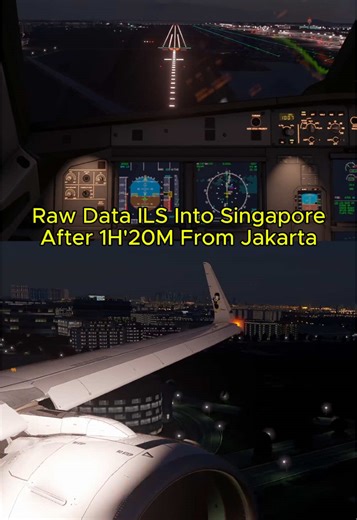 Scoot A20N Flight from CGK to SIN