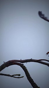 63K views · 3.3K reactions | Patience and timing are key. Yesterday I...