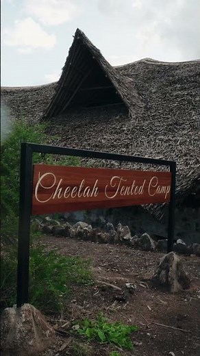 Serenity and Wildlife Magic at Soroi Cheetah Tented Camp | Ultimate Photographers' Retreat