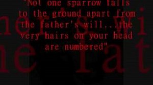 How Can You Refuse Him Now Chords by Hank Williams - ChordU