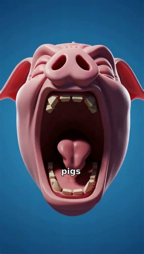 Why War Elephants Were Terrified of Pigs #Shorts