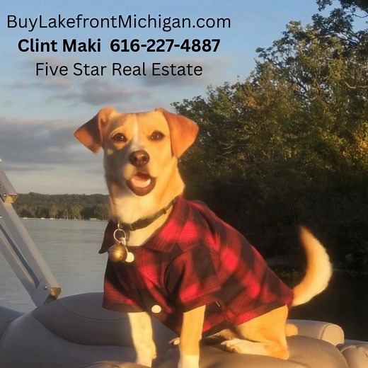 Gun Lake: Sparty Reviews Gun Lake in Barry County, Mi | Lakefrontmichigan.com