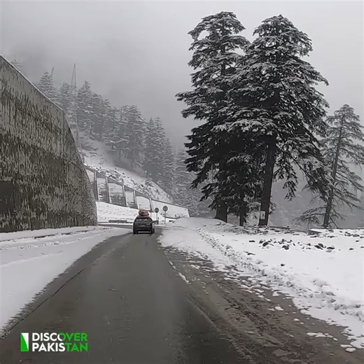 71K views · 3.2K reactions | Travel Towards Chitral Tunnel - Drive-Through Experience in Snow and Rain #chitral #snow | Discover Pakistan | Facebook