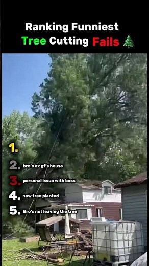 Ranking the funniest tree cutting fails! 🌲