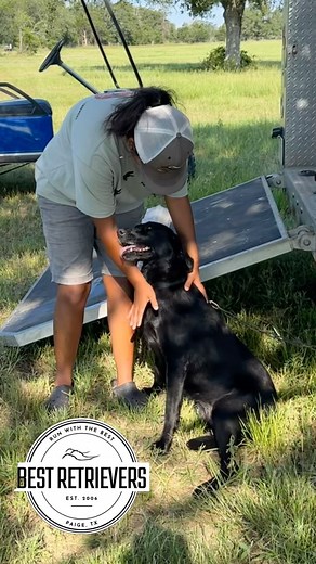 19 reactions · 8 comments |  Best Retrievers Weekly Recap Reel!  Another week of fun and learning in the books at Best Retrievers! What was your favorite moment from this week’s recap? Let us know in the comments! | Best Retrievers | Facebook