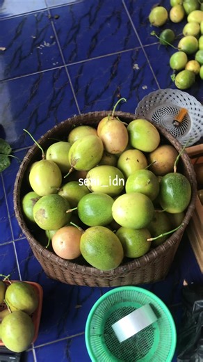 Yang mau markisanya ready stock baru petik buruan checkout sebelum kehabisan