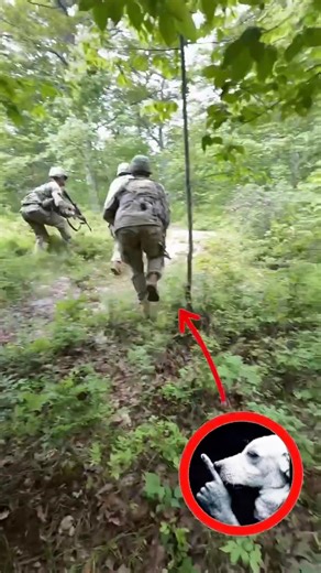 Men Cooking Outside: A Fun Culinary Adventure