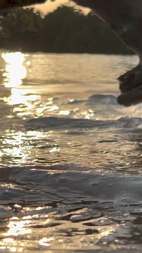 The beauty of Funzi Keys 🇰🇪 If silence is what you require, Funzi Keys is the peaceful stillness you are looking for. Nestled on the coastline of Kenya, it’s one of the best kept secrets! 🤫 🫶🏾 Karibu #FunziKeys #Kenya #TravelWithZ | Nikki Z