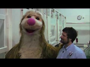 It's a Big Big World | Snook On The Road | The Riverhead Foundation