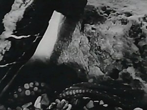 Release the Kraken! Stock footage octopus fight in Omoo, Omoo the Shark God (1949) | Cult Cinema Classics