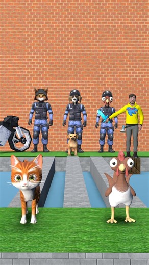 Chicken, Cat cute Vs Dog cute. Which animal can brave the river?