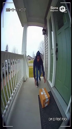 Porch Pirate Gets a Colorful Surprise!