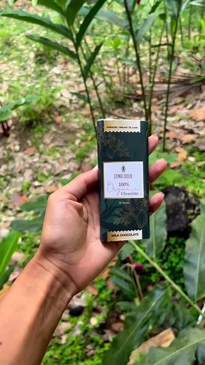 93K views · 364 reactions | Uncover the secrets of cocoa cultivation, witness the intricate art of chocolate making, and savor the divine flavors that have made Saint Lucia renowned as the Caribbean's chocolate paradise www.fonddouxresort.com #BeanToBar #ChocolateLovers #FondDoux #AwardWinning #TravelSaintLucia | Fond Doux Eco Resort | Facebook