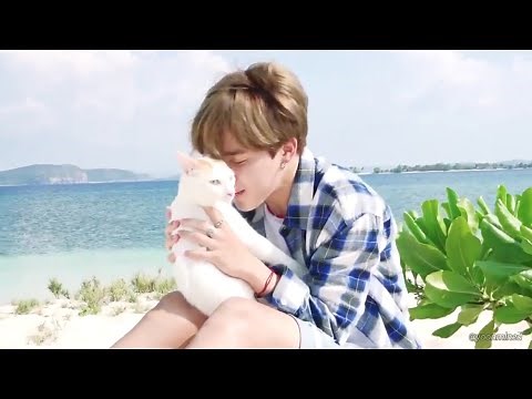 BTS Jimin With Cat MOMENTS