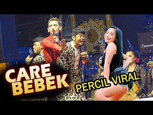 percil lagu viral care bebek wa wa wewe