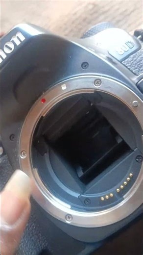 canon EOS 80d sutter check ✅ #short #video