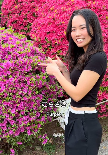 Learn Colors in Japanese: Fun Language Lesson