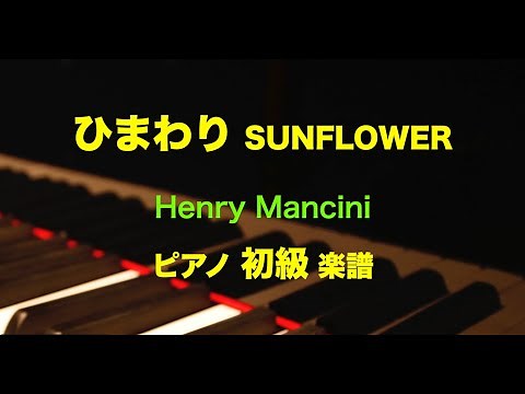 ひまわり Love Theme from Sunflower / Henry Mancini ☆初級 piano楽譜/編曲 内田ゆう子