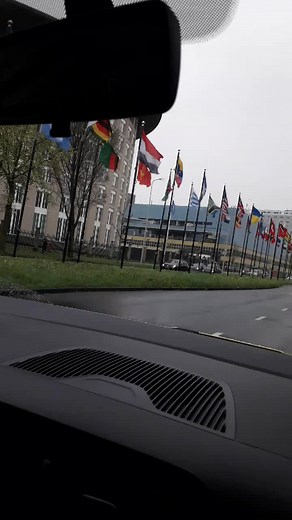 Forte Piano on TikTok