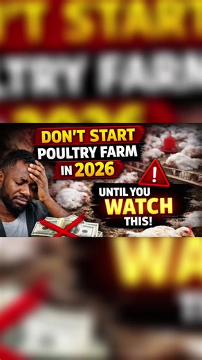 A must watch video for poultry farmers Part 1 #poultryfarming #poultryfarm #ghanapoultryfarmers #poultrymistakes #thepracticalfarmer