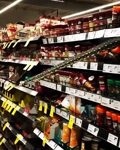 8 comments |  CAPTION THIS VIDEO  How about a snake shocks Sydney...