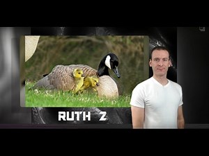 Ruth Chapter 2 Summary and What God Wants From Us
