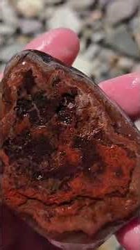 Interesting agates on the Jefferson river, Montana. #agates #montana #jefferson river #rockhounding