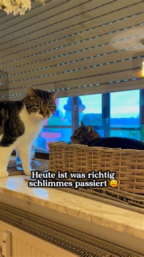 Nadine Fischer on Instagram