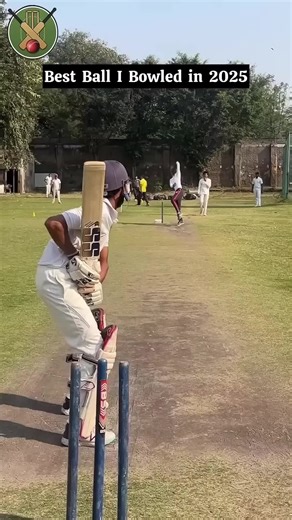 The Best Ball in the World: A Cricket Lover's Guide