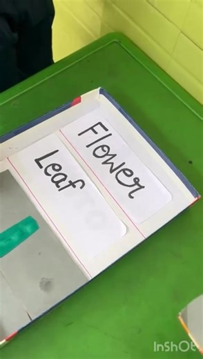 Our young learners of Grade Prep enjoyed a fun and engaging Parts of a Plant Activity 🌿. The children learned about the different parts of a plant — roots, stem, leaves, flower, and fruit — through an interactive puzzle and flashcard game. Each child eagerly read the name of a plant part and matched it with the correct picture, placing it in the right position on the plant chart. With curious minds and excited smiles, they explored how every part of a plant is important. Through this hands-on a