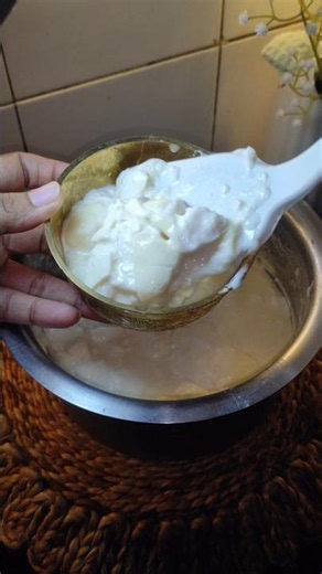 Curd recipe#curdrecipe #smish_vlogs#viralvideo#shorts#shortvideo#short #youtube#food#foodie