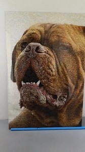 4.2M views · 53K reactions | We all know someone who loves their dog this much! Wait for it...  Credit: makemymosaic.eu & Hundeerziehung | VT | Facebook