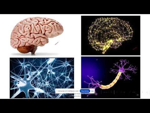 Artificial Neural Network