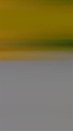 pradeep_maurya3 on Instagram: "repairing remote control car #experiment #electrcal #shorts ￼ . . 1M 💬50K 🔰20K 🌍10k . . . .. . .#1080 what 4#trending लाइक #System...#Long awaited msg.wanted to thank you from bottom of my heart for my wonderful makeup u did for my wedding day..it was so natural..subtle..perfectly synced with lehenga..skin... It was just perfect!! For the engagement as well.. everything just fall in place...the hair.. makeup..want to thank for making me so beautiful that I only 