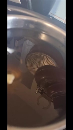 Bee incorporated on TikTok