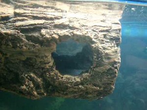 Awesome Turtle Tank Set up!!! Part 1